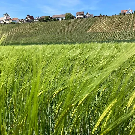 Komforthaus Gartenfreude דירה זקסנהיים