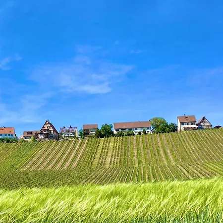 Apartman Komforthaus Gartenfreude Sachsenheim